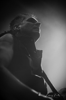 Reason to Rock 2019