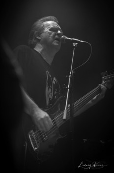 Reason to Rock 2019