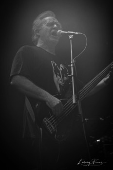 Reason to Rock 2019