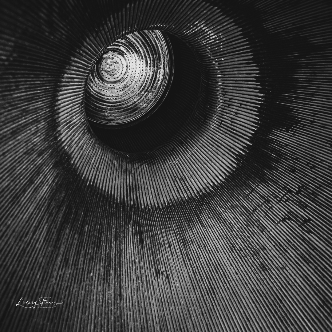 Stacks Image 113