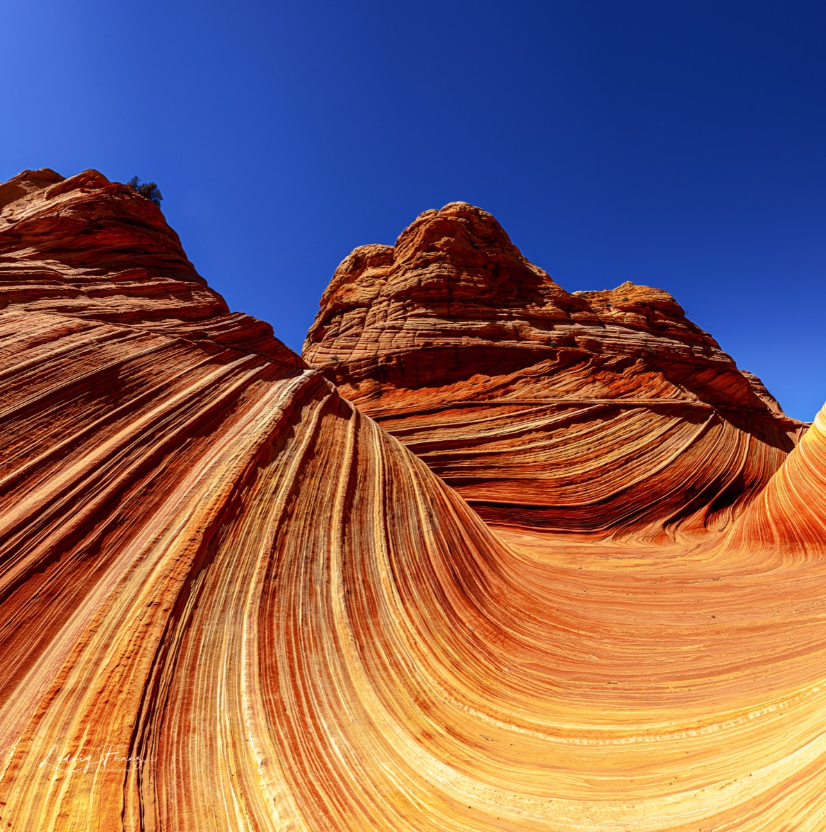 Stacks Image 37