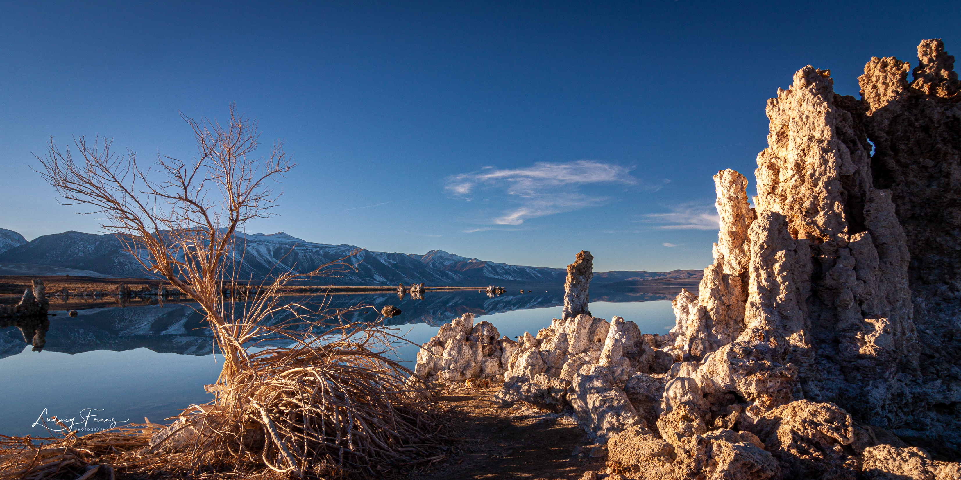 Monolake Single Shot 04 © L.Franz 2009