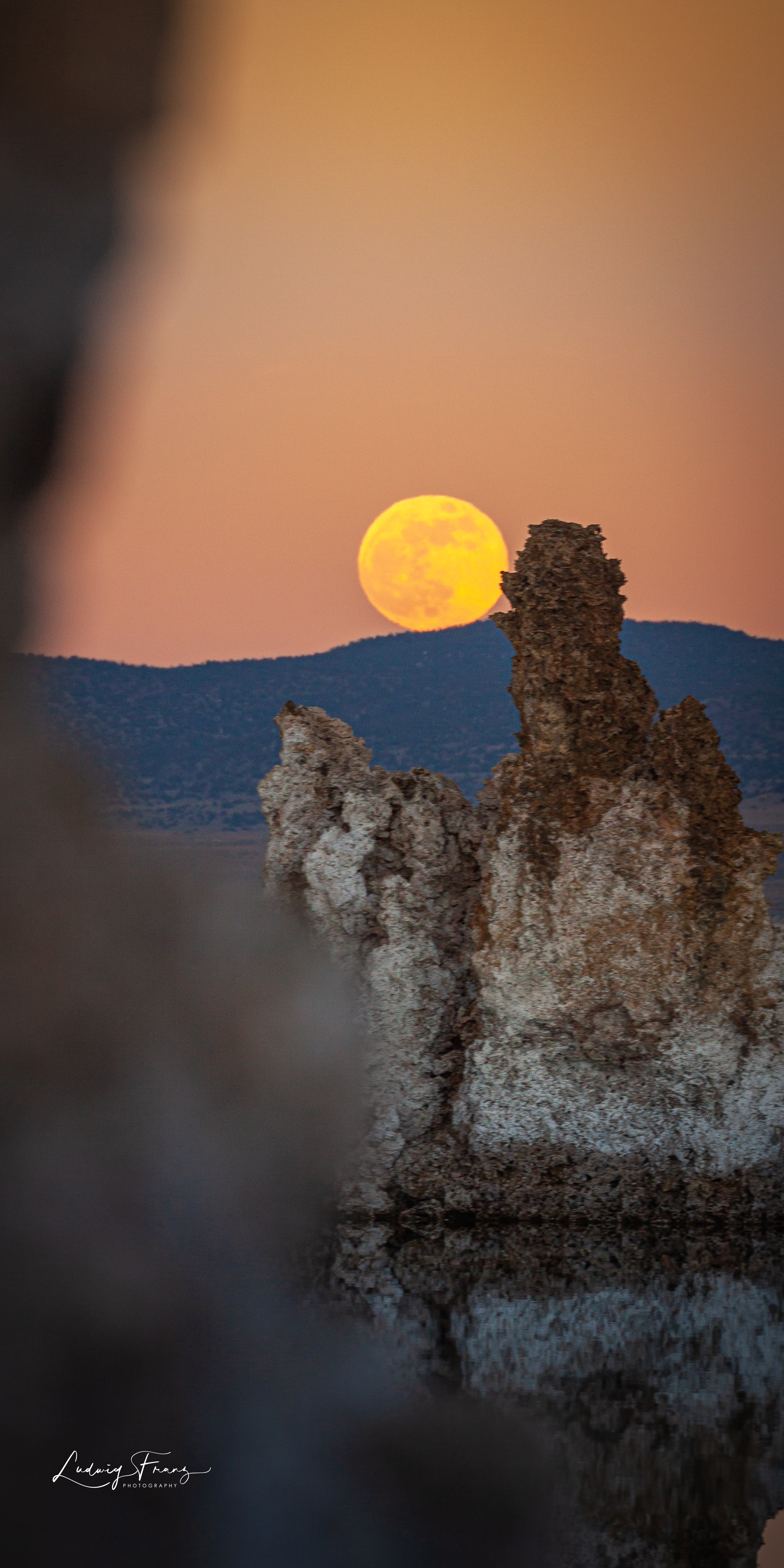 Monolake Single Shot 09 © L.Franz 2008