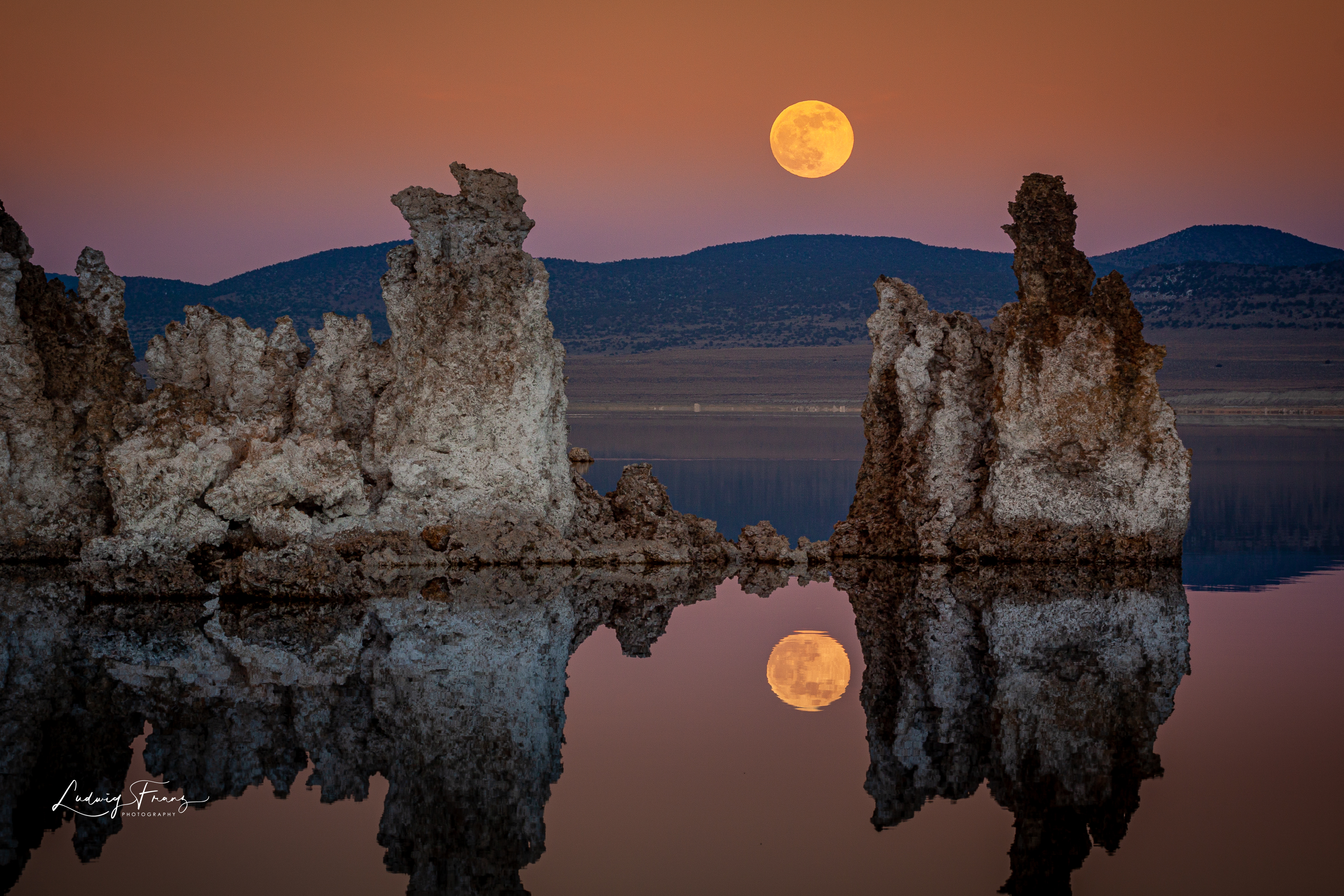 Monolake Single Shot 11 © L.Franz 2009