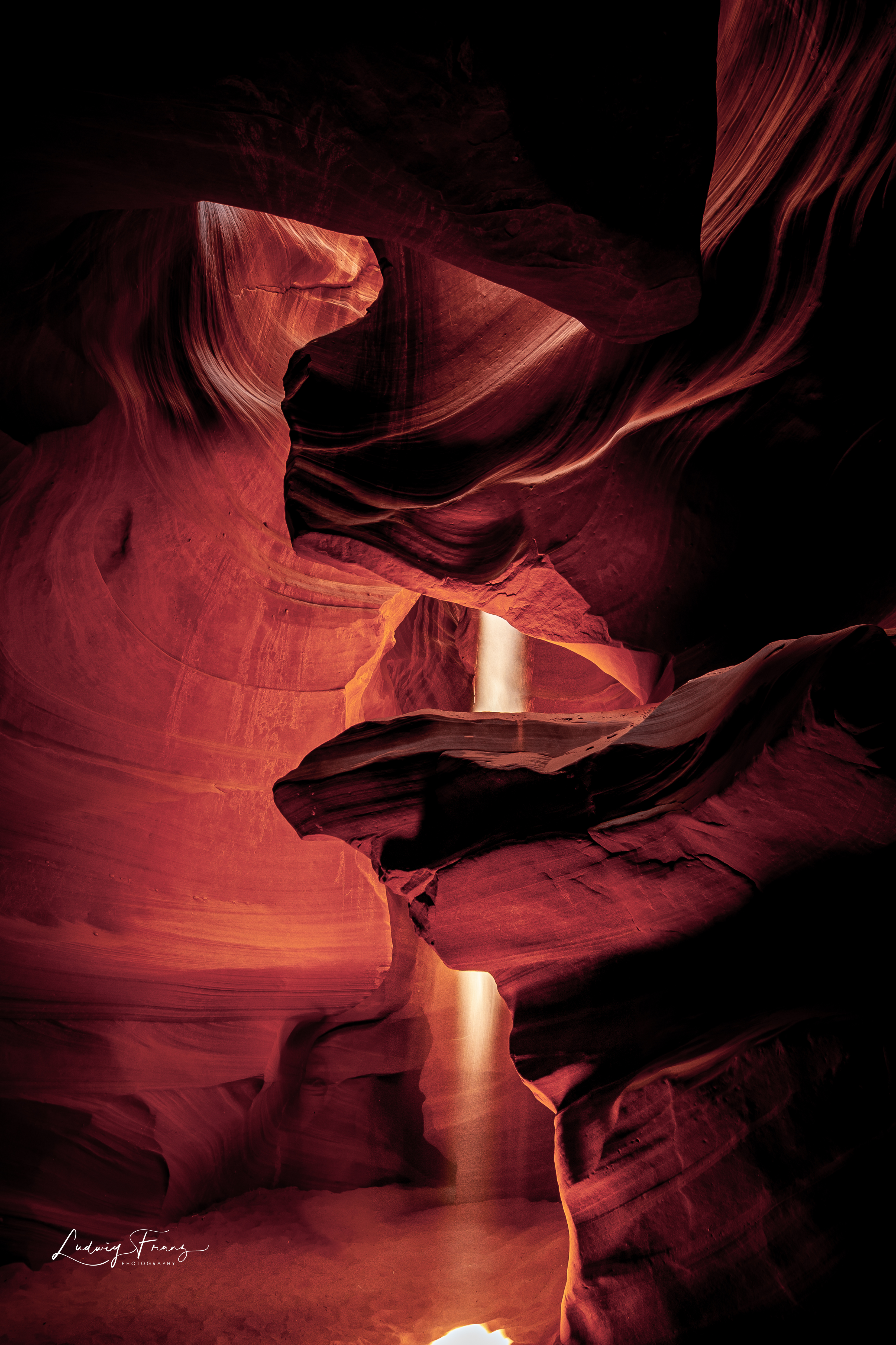 Antelope 03 © L.Franz 2008