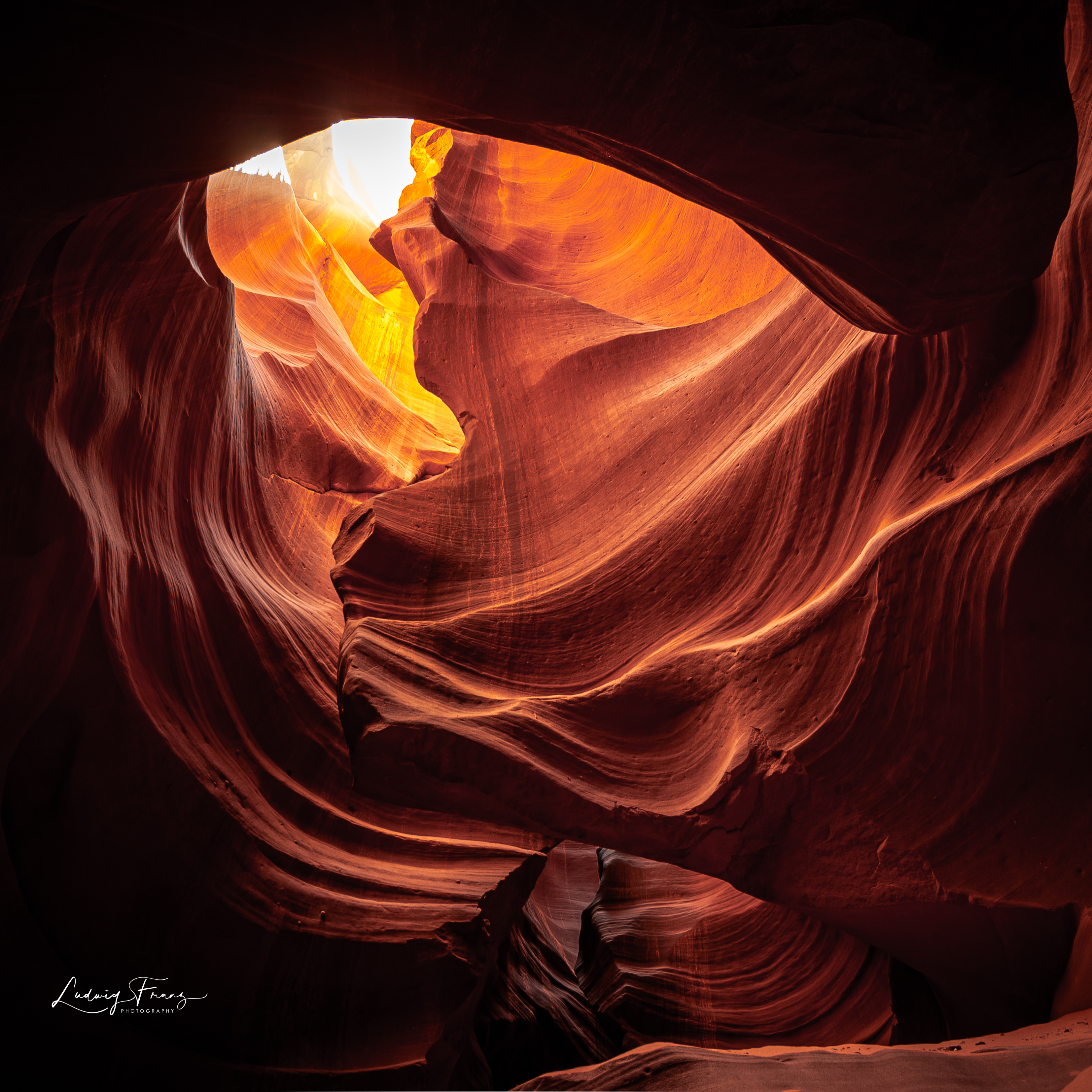 Antelope 06 © L.Franz 2008