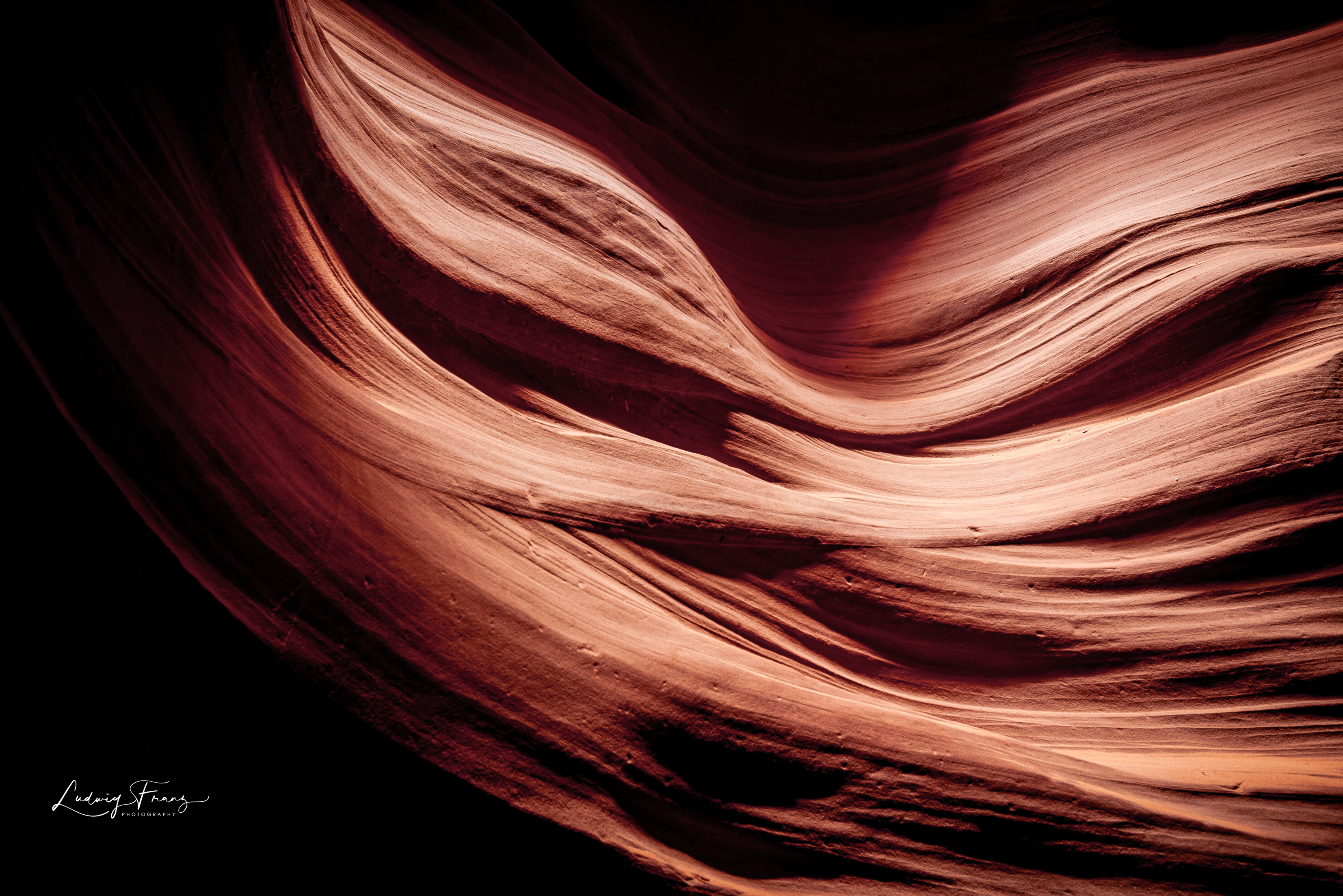 Antelope 11 © L.Franz 2008