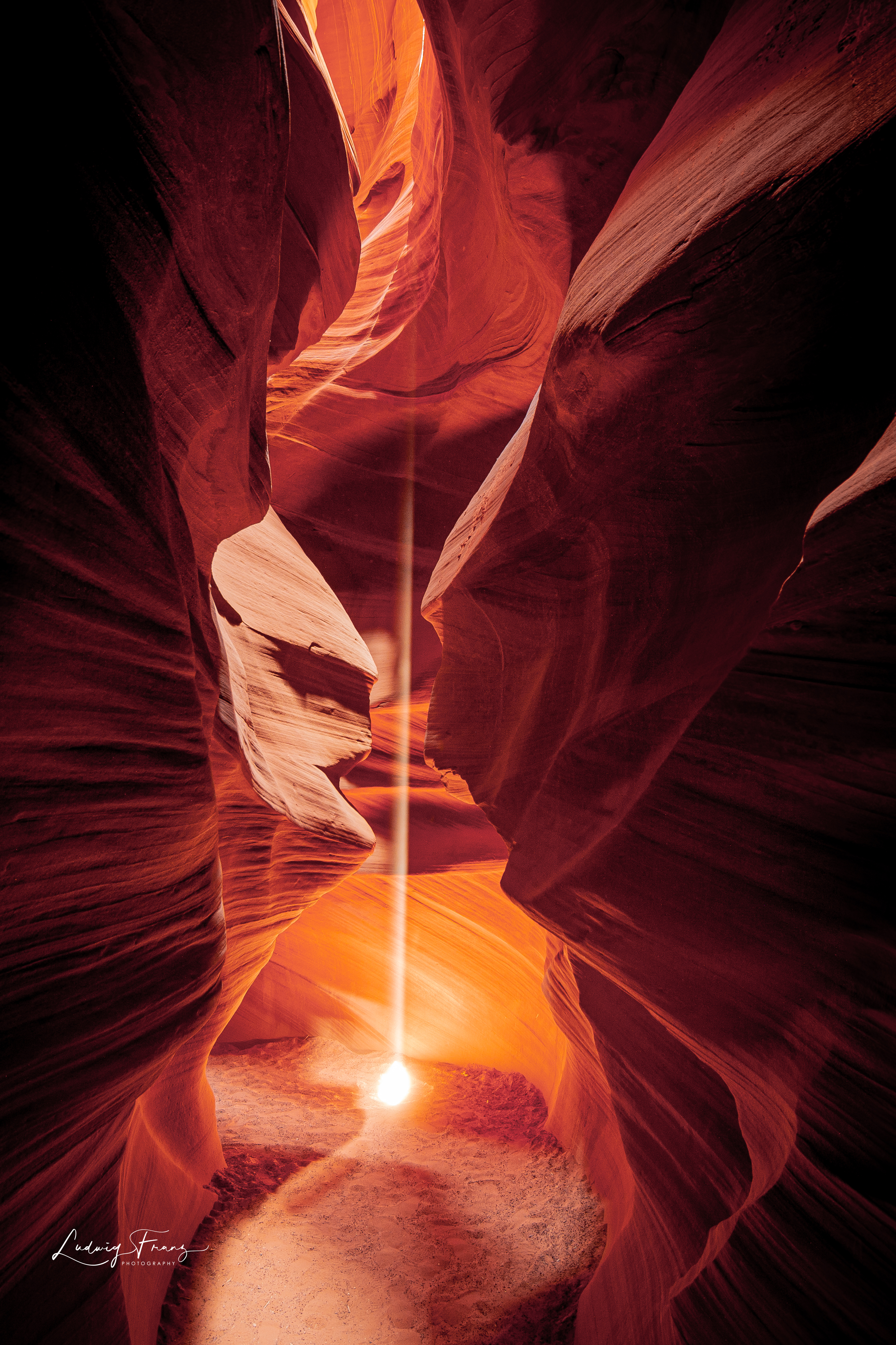 Antelope 13 © L.Franz 2008