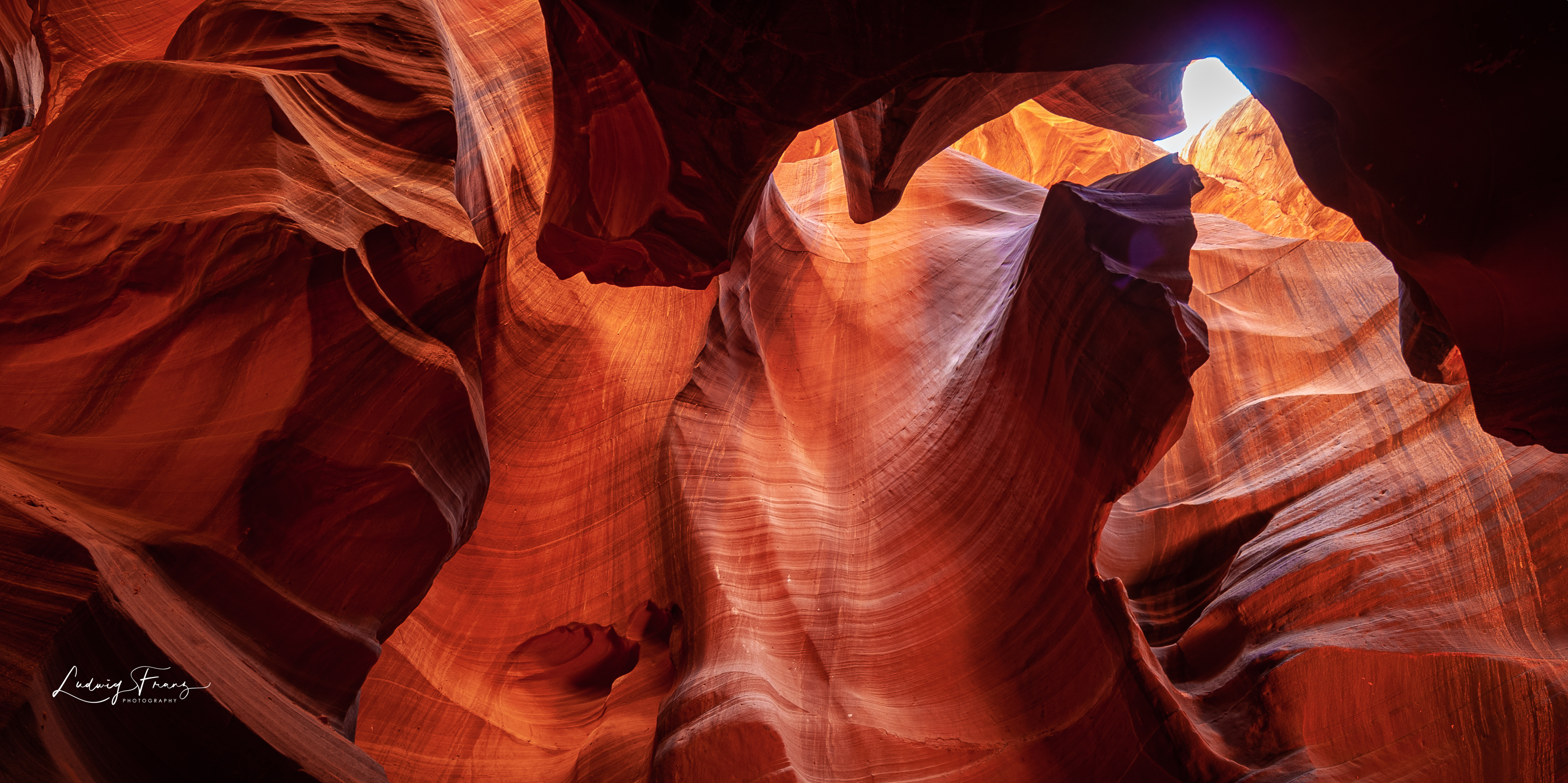 Antelope 15 © L.Franz 2008