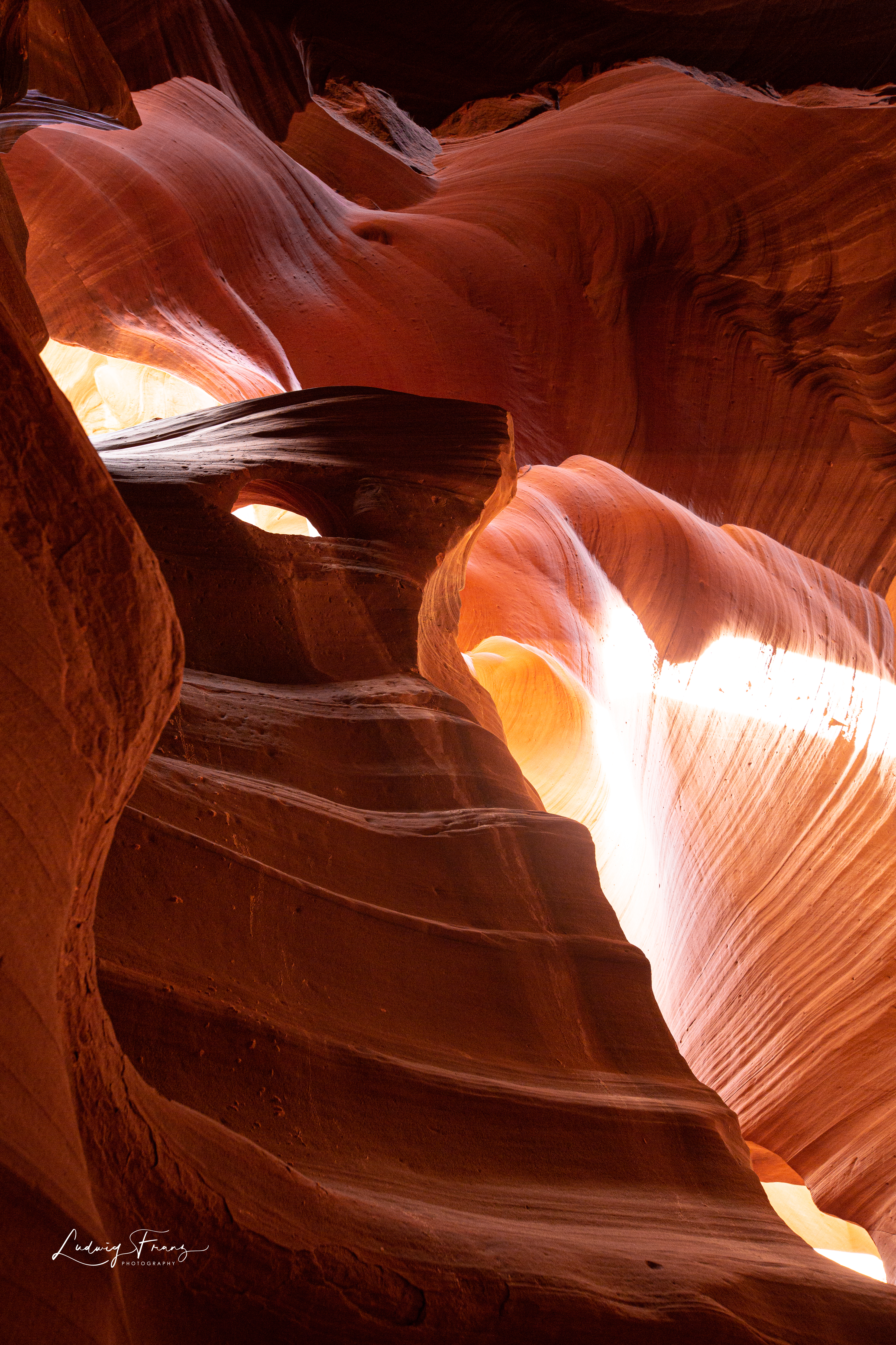 Antelope 16 © L.Franz 2008
