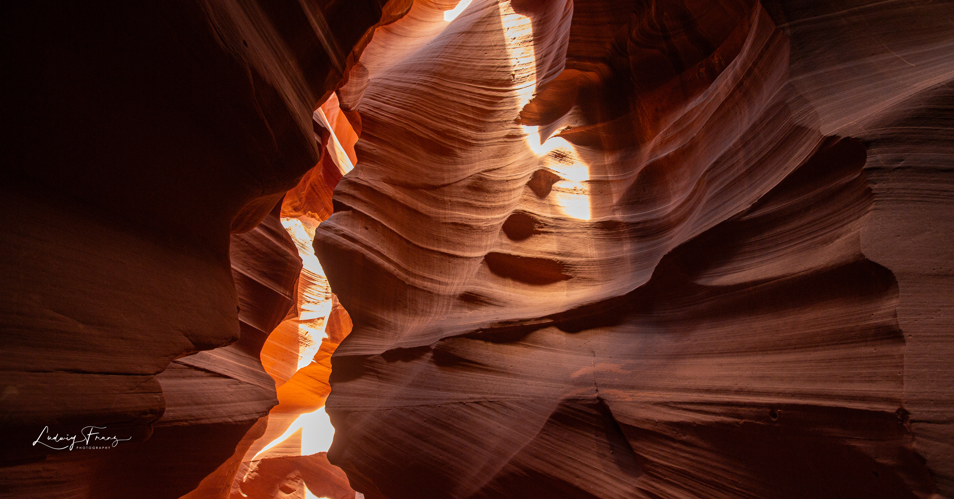 Antelope 17 © L.Franz 2008