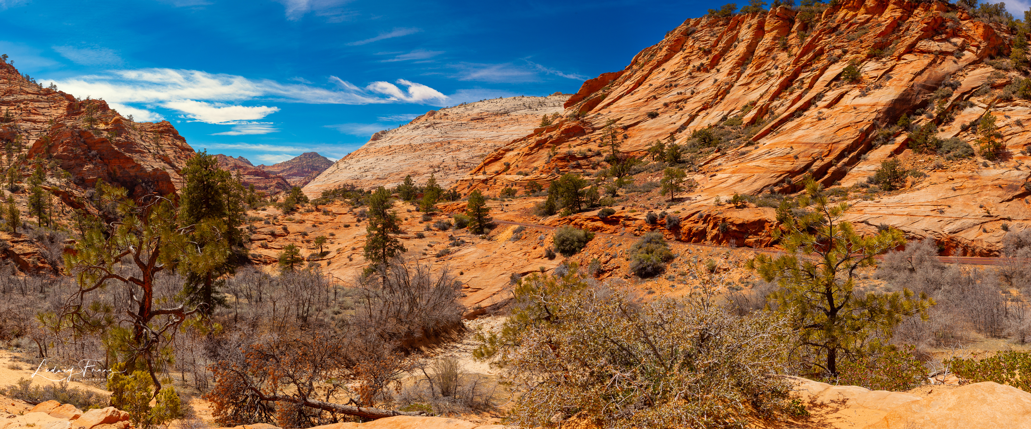 Zion National Park Panorama 01  © L.Franz 2010