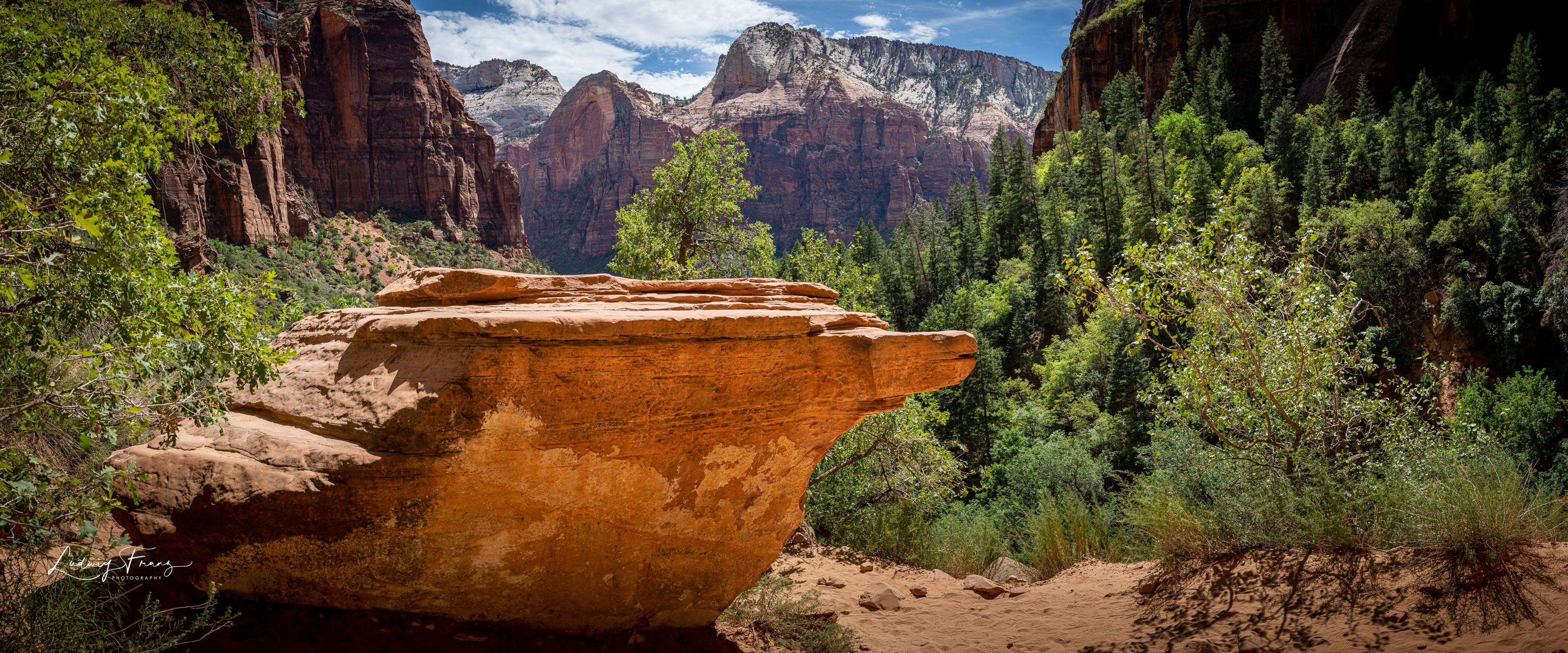 Zion National Park Panorama 02  © L.Franz 2010