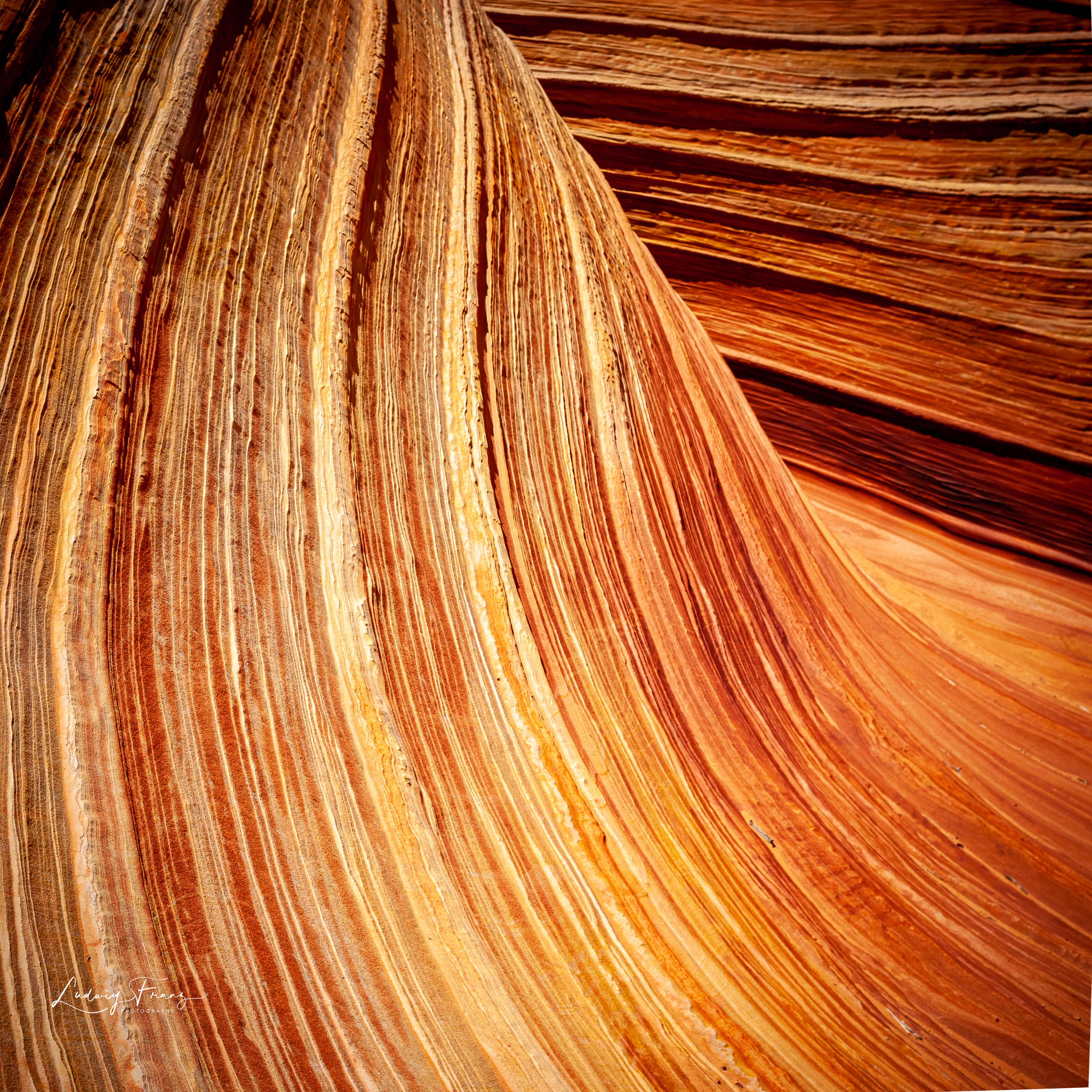 Sandstone 08 © L.Franz 2010