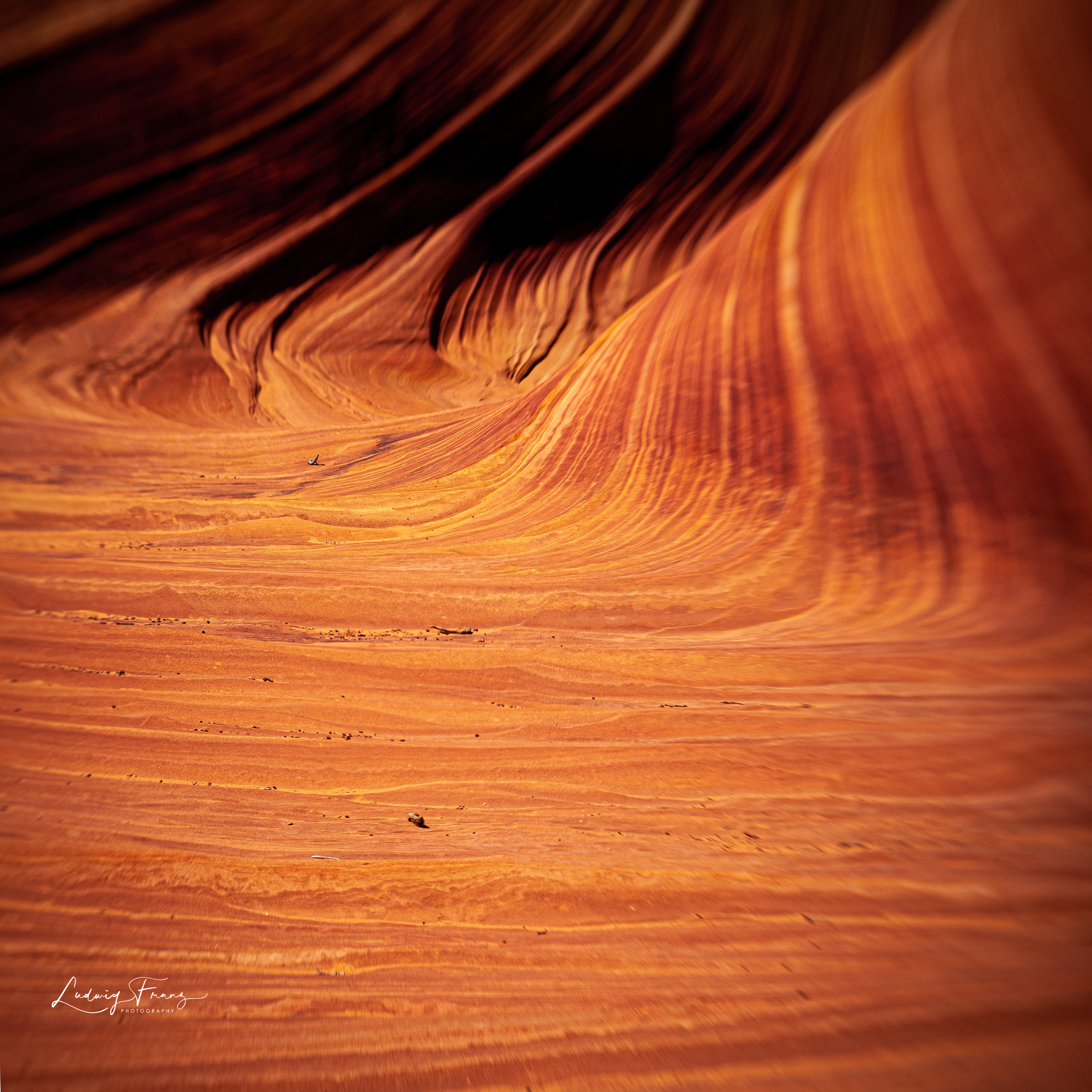 Sandstone 09 © L.Franz 2010