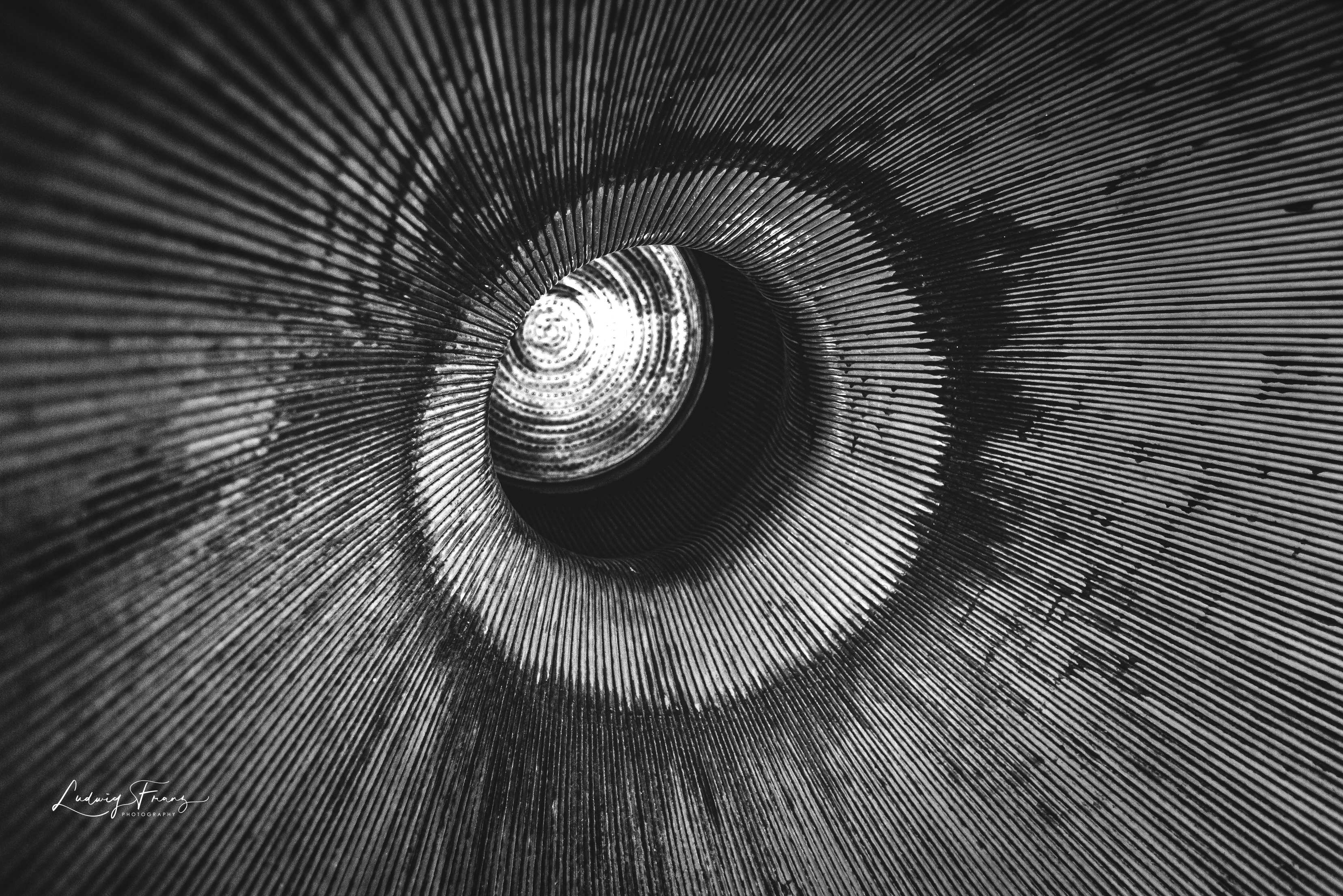 Rocket Engine 02 © L.Franz 2010