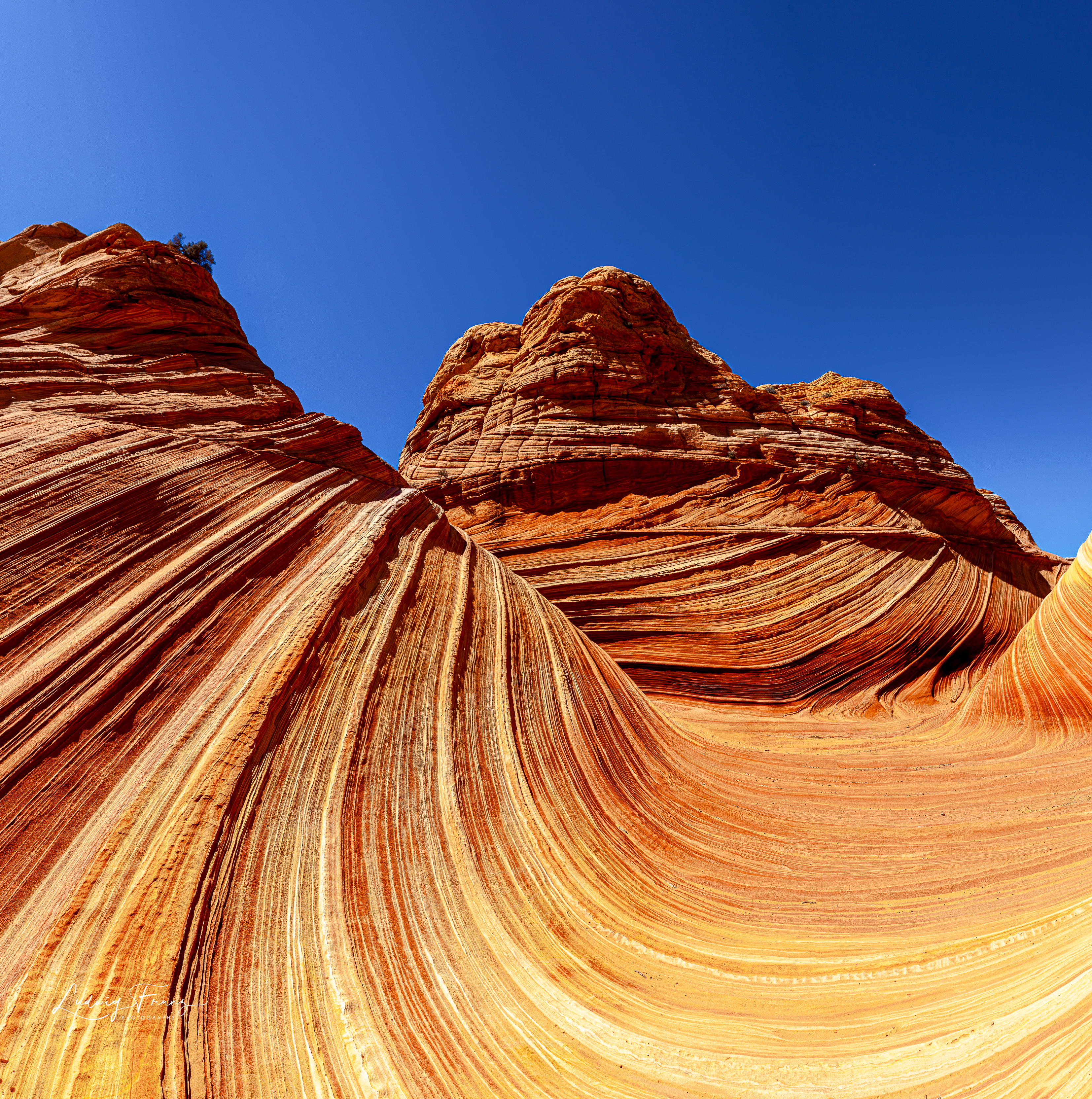 The Wave Panorama 01 © L.Franz 2010