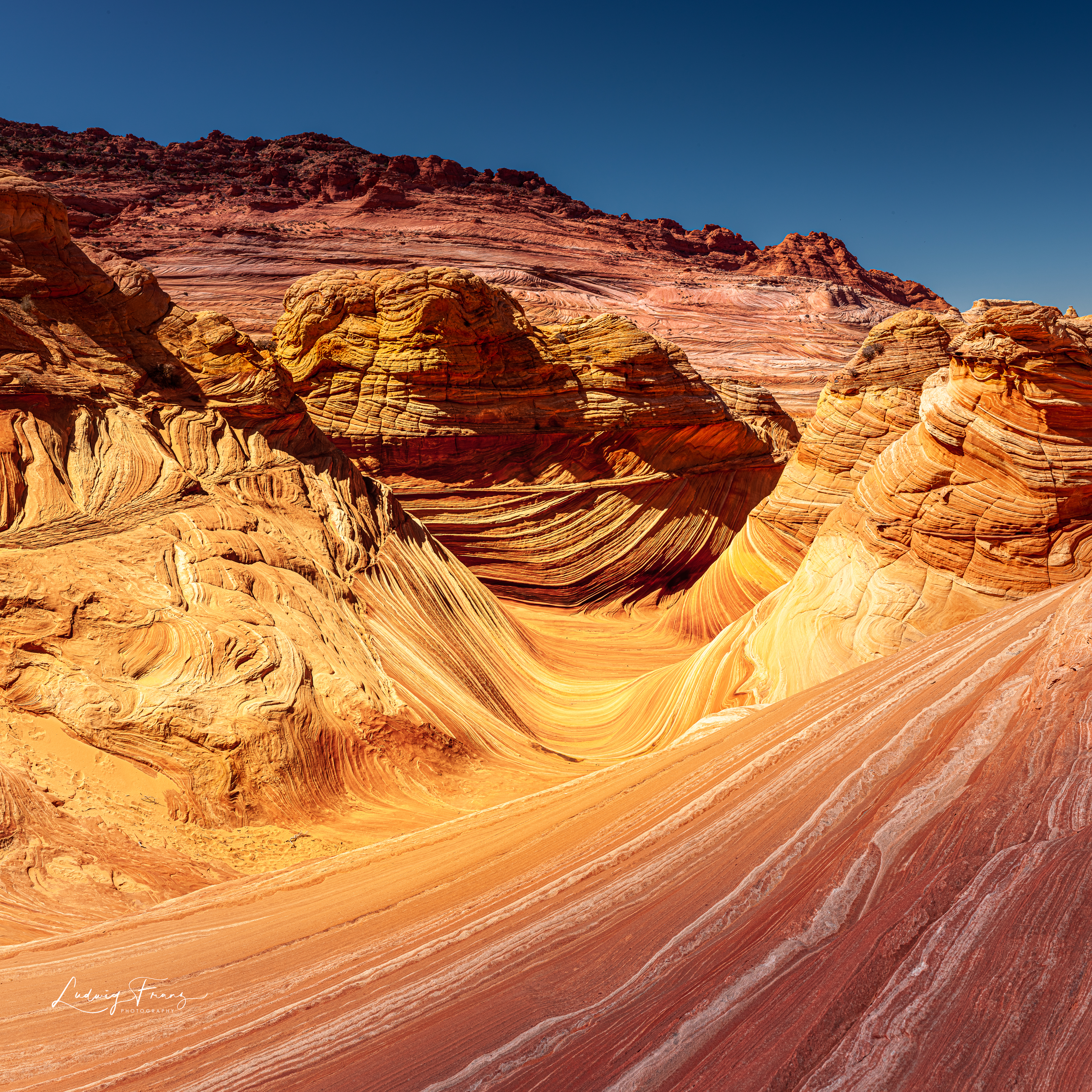 The Wave Panorama 05 © L.Franz 2010