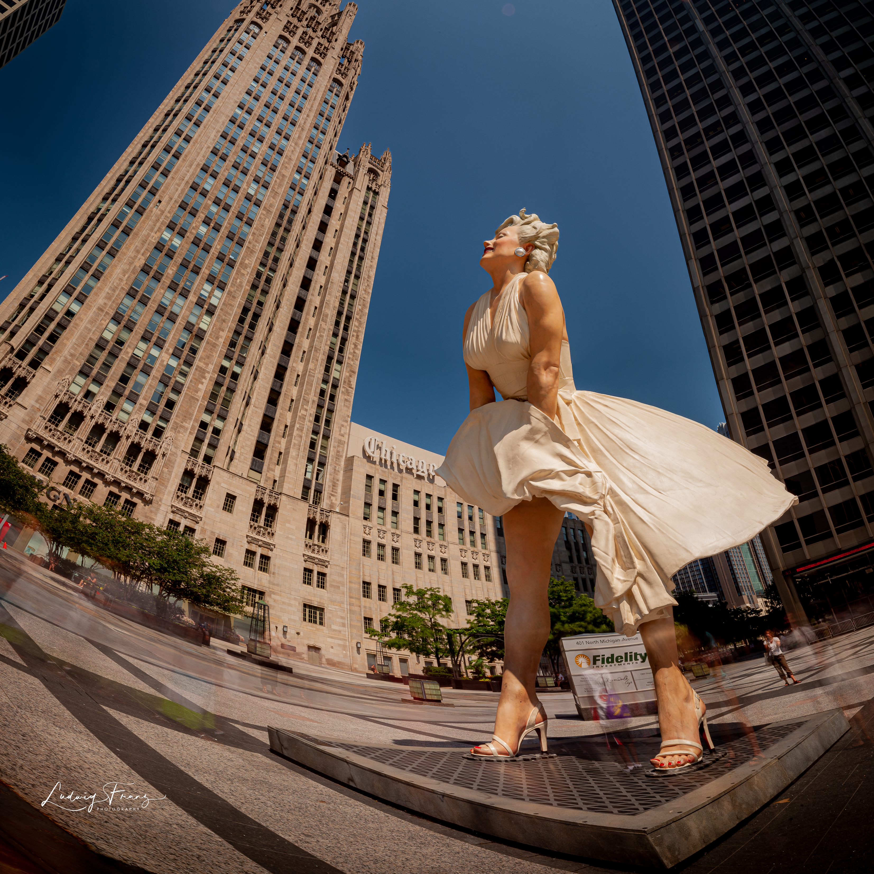 Marilyn © L.Franz 2011