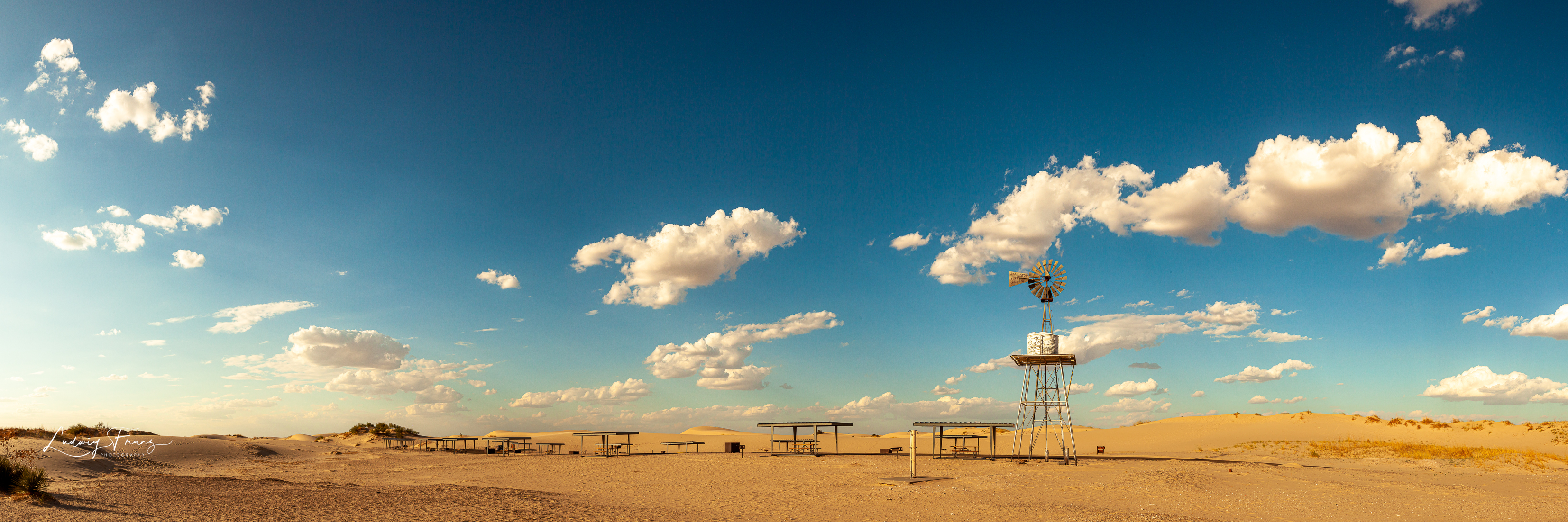 Monahans Sand Dune 01 © L.Franz 2011